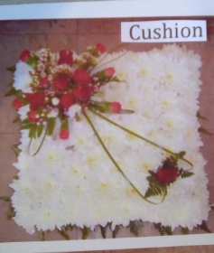 Cushion